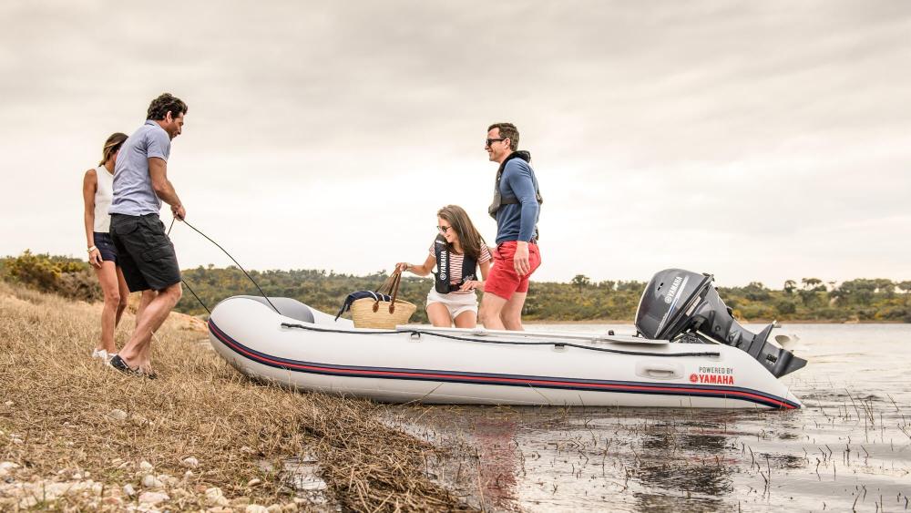Yamaha F25 25HP Outboard Engine - 4