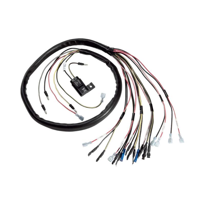 Honda Instrument Harness - 2.1 Meters - 2