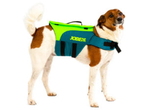 Dog Life Jackets