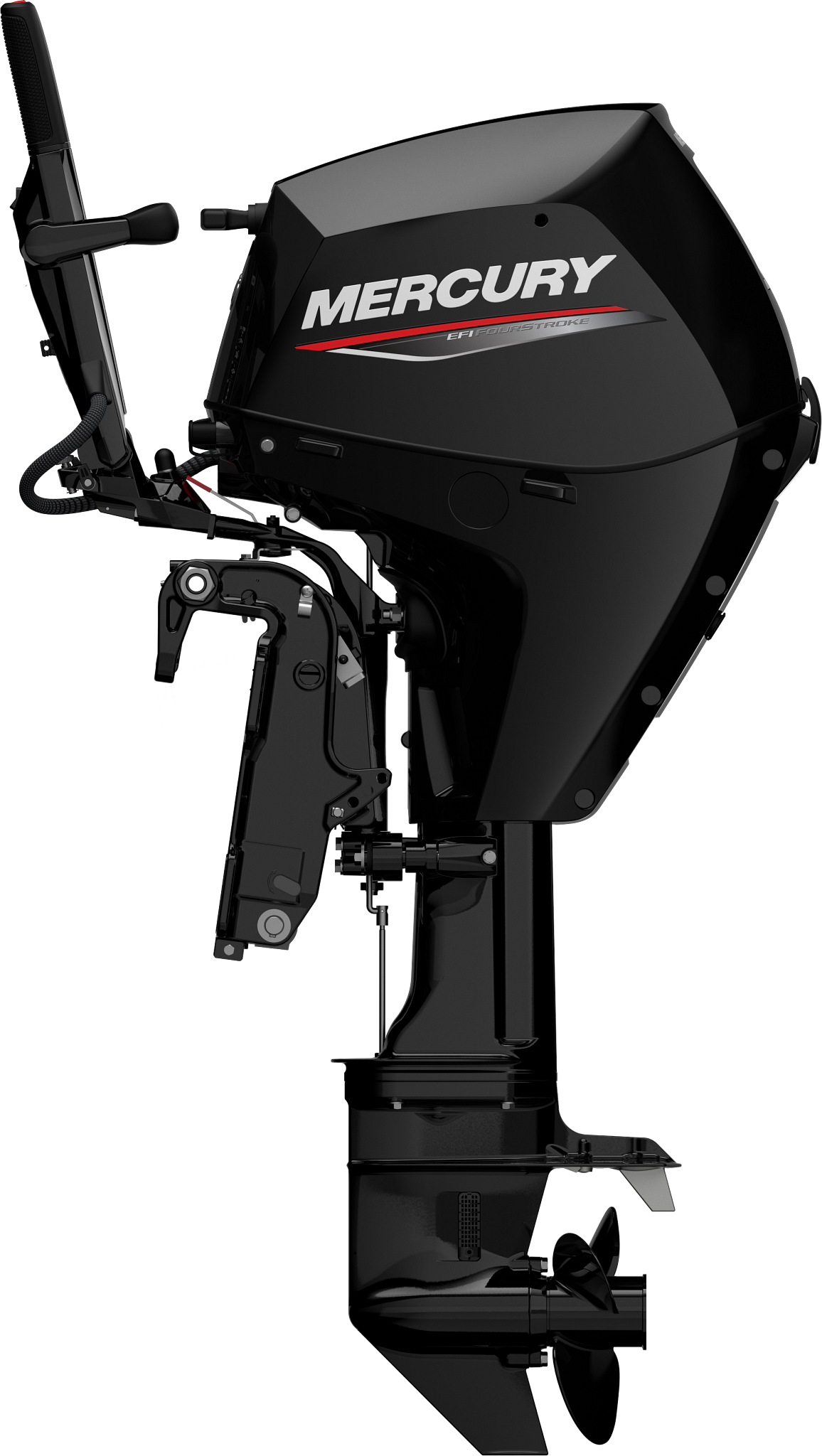 Mercury F25 Outboard 25HP 4-Stroke Long Shaft Outboard Motor F25ELPT EFI - 2