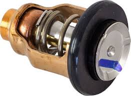 Yamaha 67F124110100 Thermostat