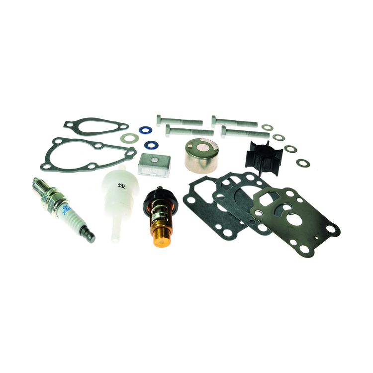 Mercury 300Hr Service kit 4/5/6 HP EFI OR411838 & above 8M0120836