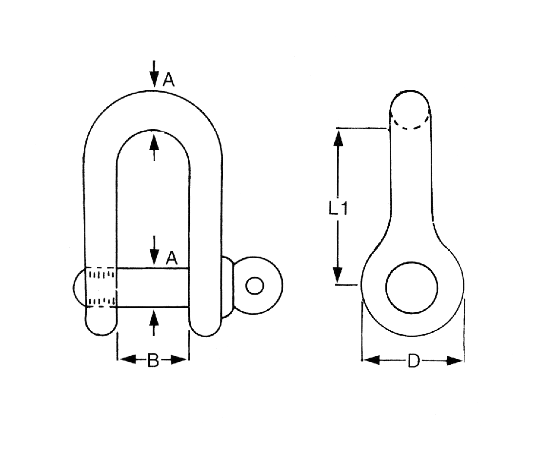 Proboat Standard Stainless Steel D Shackle - 10mm
