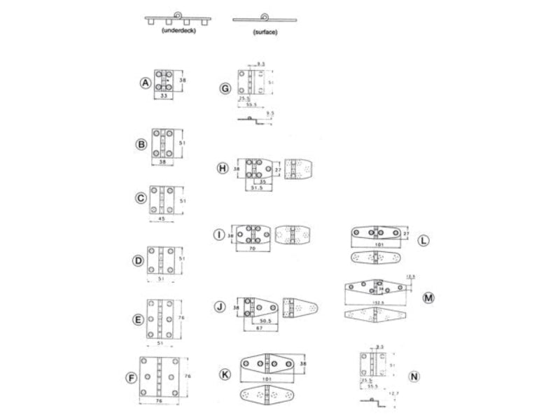 Talamex Stainless Steel Hinge