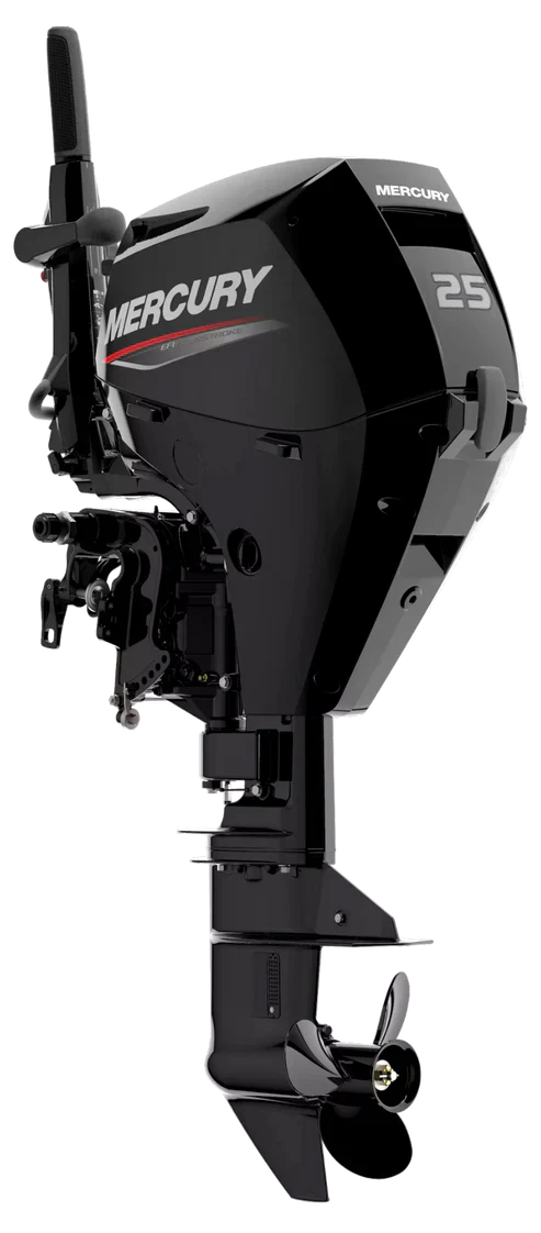 Mercury F25 Outboard 25HP 4-Stroke Long Shaft Outboard Motor F25ELPT EFI - 2