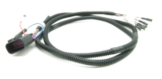 Quicksilver harness assy  84-892990T01