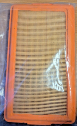 Quicksilver Air Filter - 35-19487