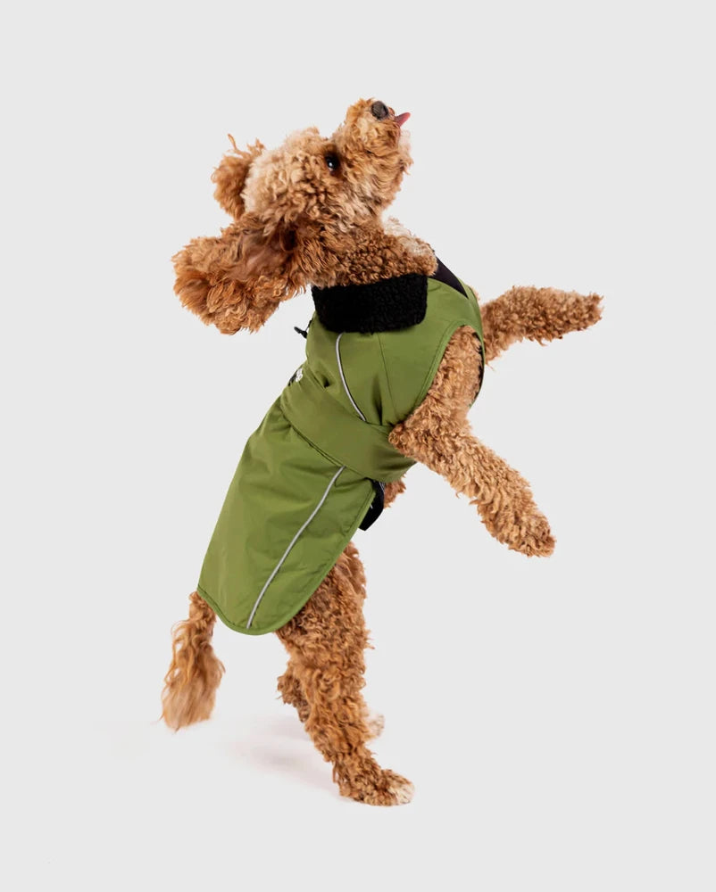 Dryrobe Dog - thumbnail 4