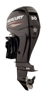 Mercury 30HP F30 4-Stroke Long Shaft Outboard Motor F30MLHGA EFI - 5